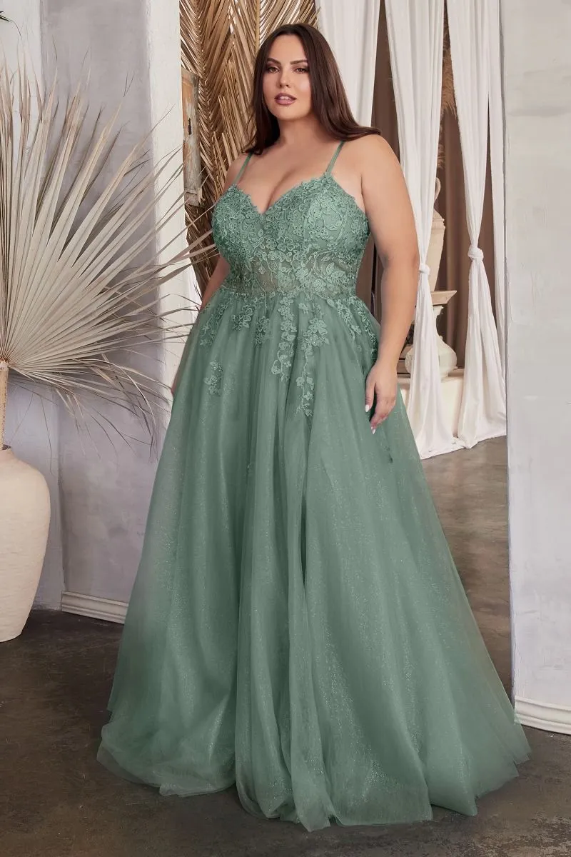 A-Line Lace & Tulle Embroidered Bodice Plus Size Long Prom Dress