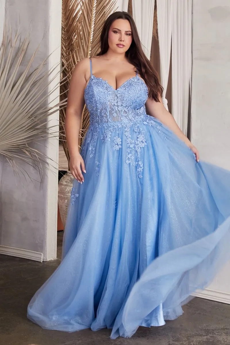 A-Line Lace & Tulle Embroidered Bodice Plus Size Long Prom Dress