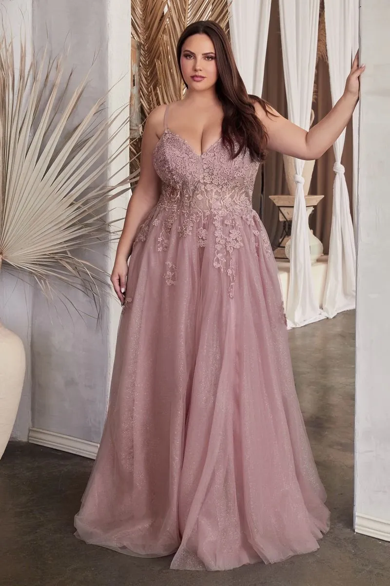 A-Line Lace & Tulle Embroidered Bodice Plus Size Long Prom Dress