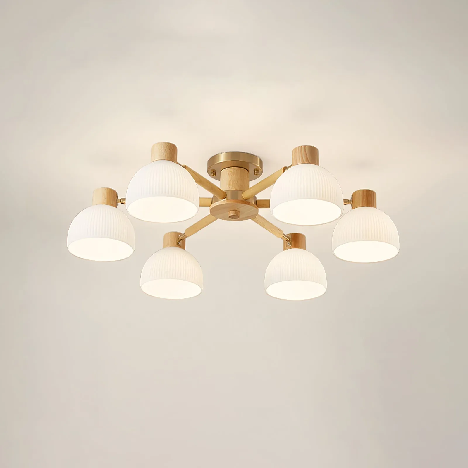 Flared Ceiling Light