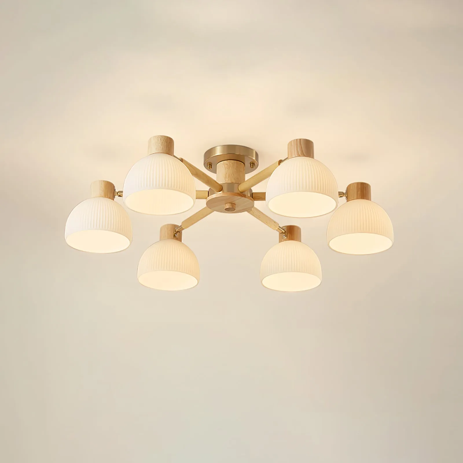 Flared Ceiling Light