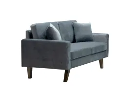 Modern Style Grey Velvet Love Seat