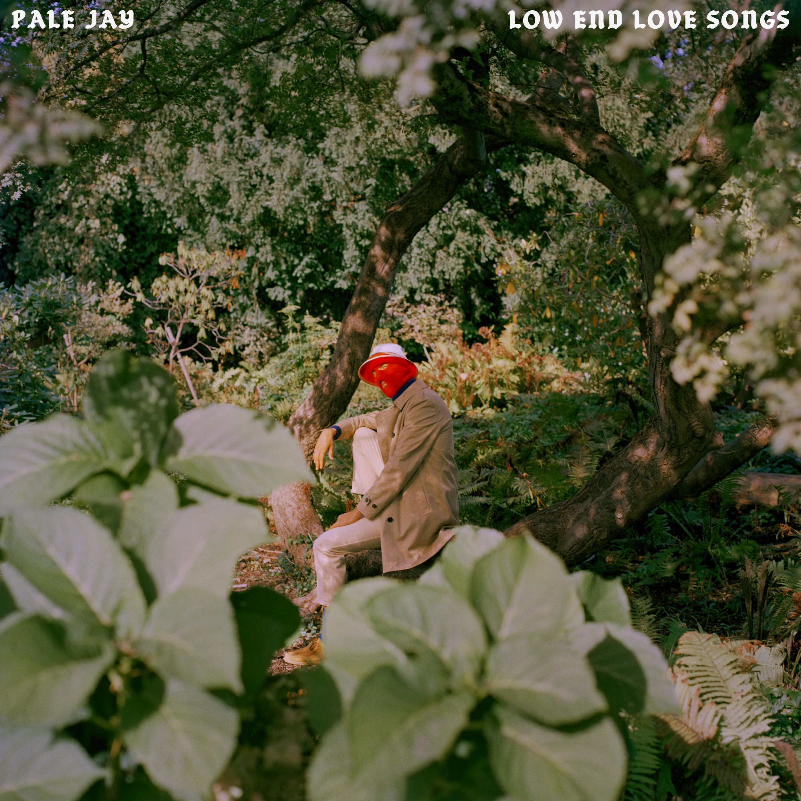 PALE JAY - Low End Love Songs